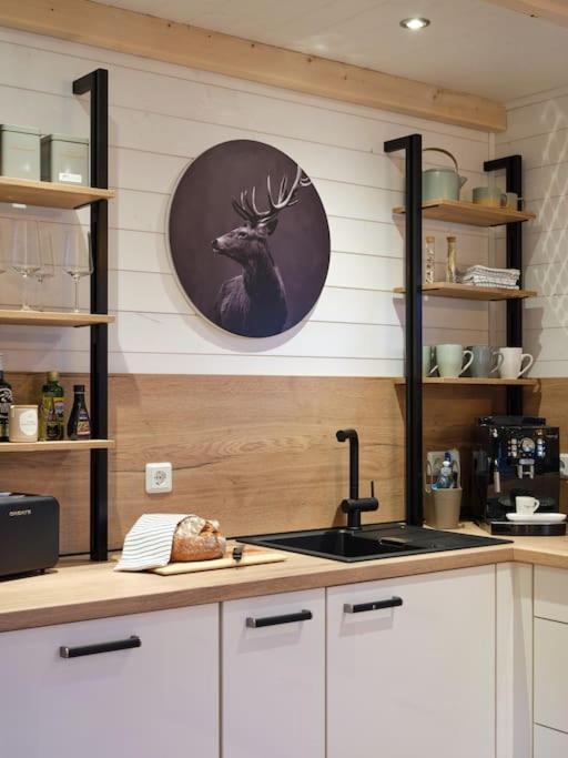 Chalet In Koeln - Tinyhouse 외부 사진